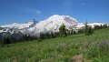 (31) Mount Rainier